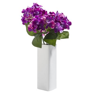 Гортензия Гортензия